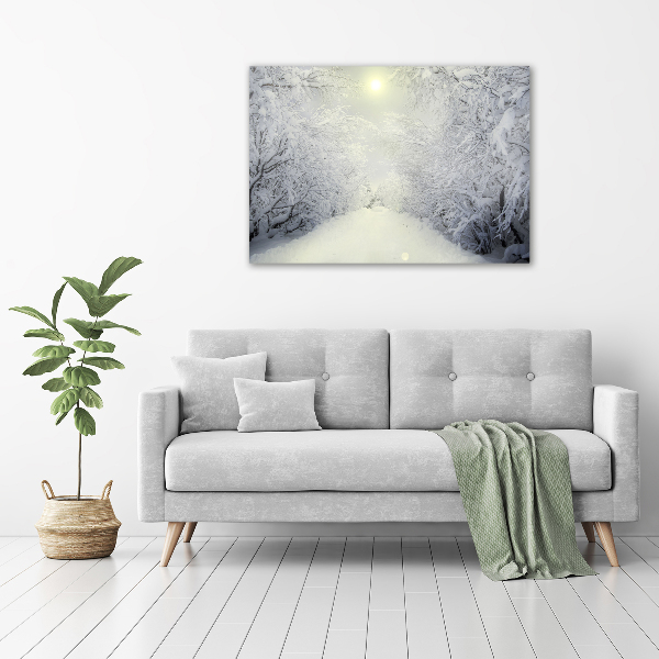 Canvas wall art A beautiful forest in winter