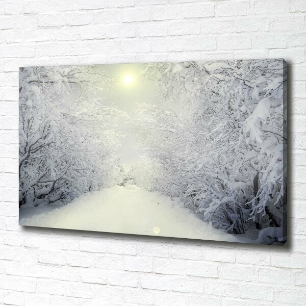 Canvas wall art A beautiful forest in winter