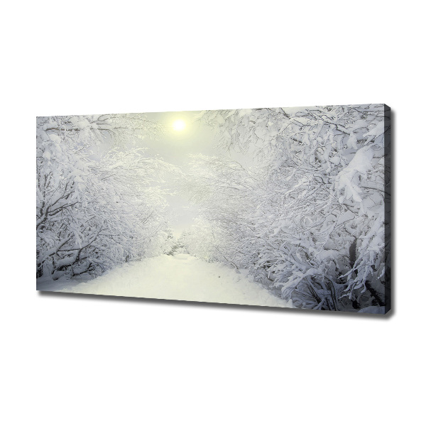 Canvas wall art A beautiful forest in winter