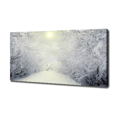 Canvas wall art A beautiful forest in winter