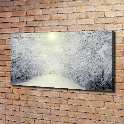 Canvas wall art A beautiful forest in winter