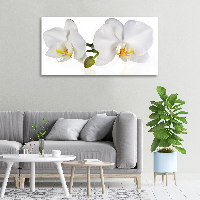 Canvas wall art Orchid