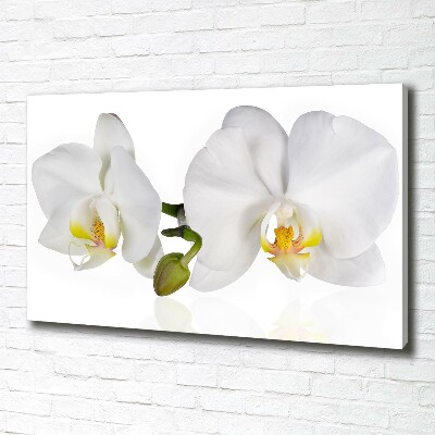 Canvas wall art Orchid