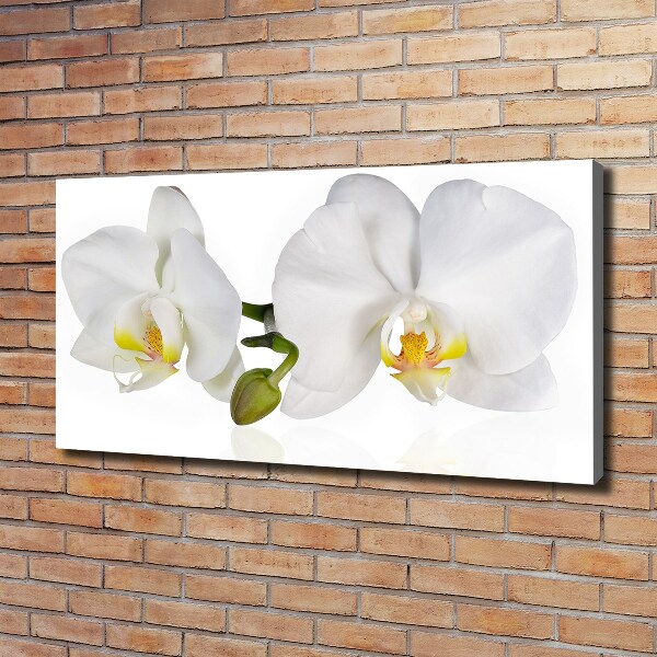 Canvas wall art Orchid