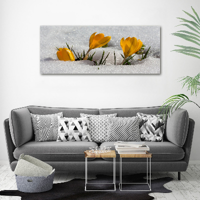 Canvas wall art Crocuses in the snow