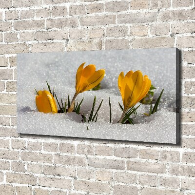 Canvas wall art Crocuses in the snow