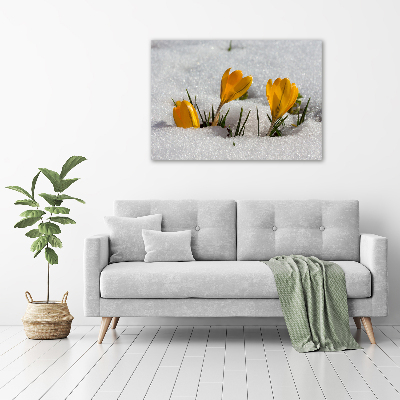 Canvas wall art Crocuses in the snow