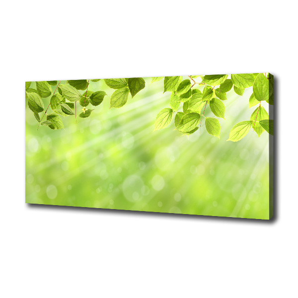 Canvas wall art Leaves