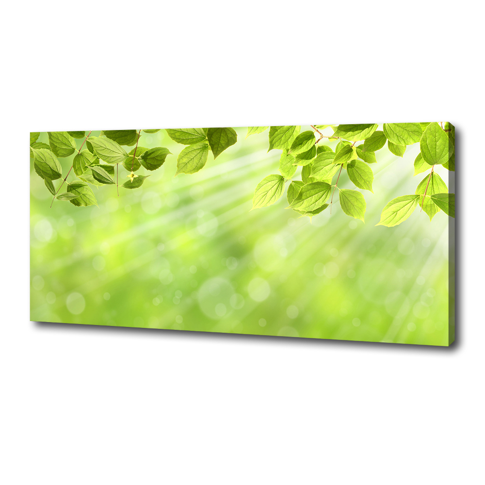 Canvas wall art Leaves