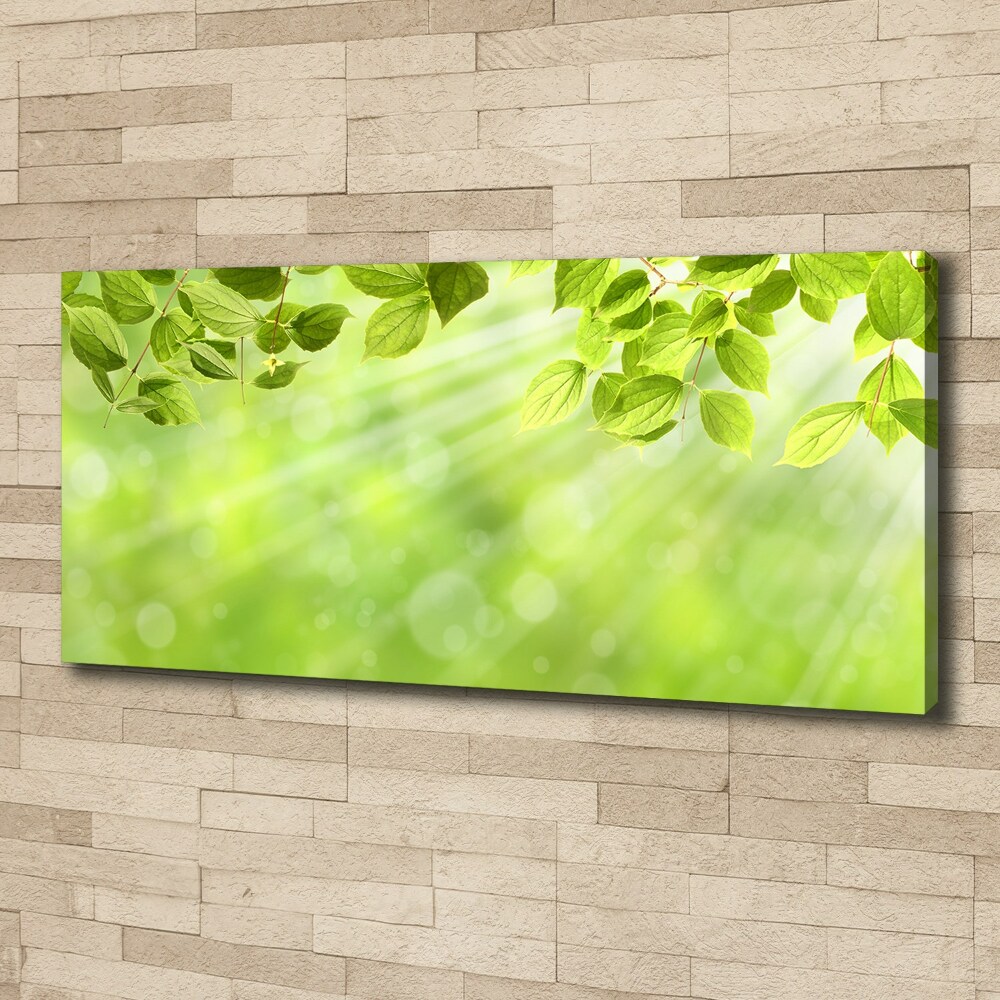 Canvas wall art Leaves