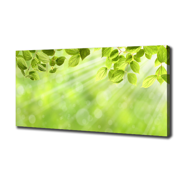 Canvas wall art Leaves