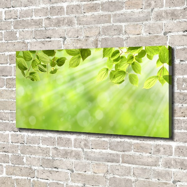 Canvas wall art Leaves