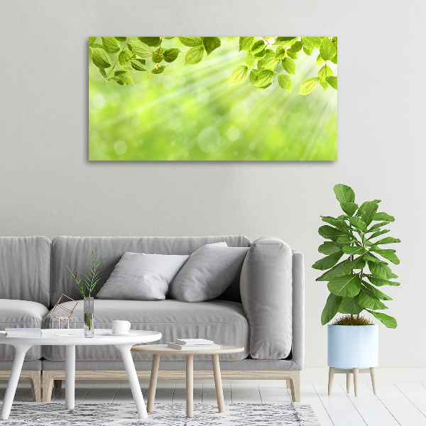 Canvas wall art Leaves