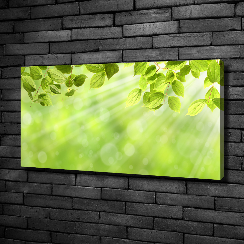 Canvas wall art Leaves