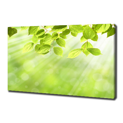 Canvas wall art Leaves