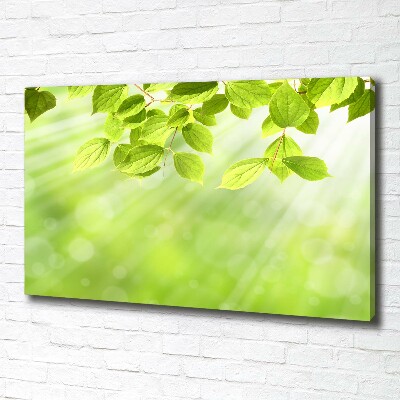 Canvas wall art Leaves