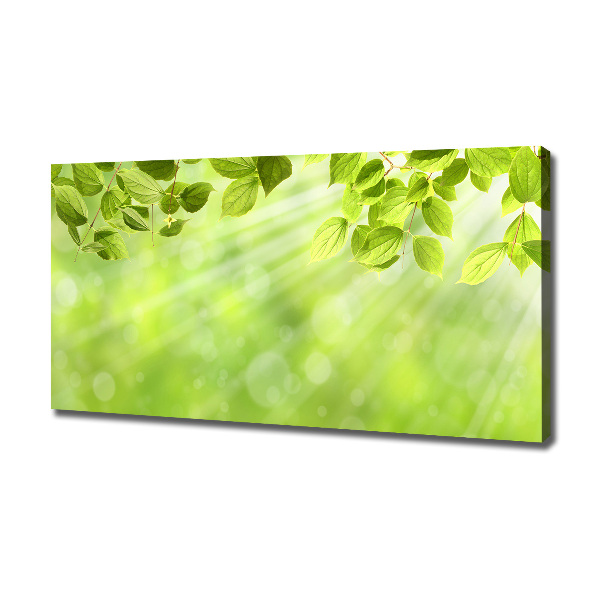 Canvas wall art Leaves