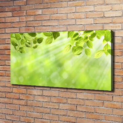 Canvas wall art Leaves