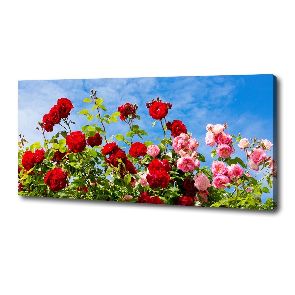 Canvas wall art Wild roses