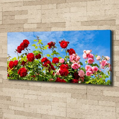 Canvas wall art Wild roses