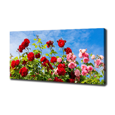 Canvas wall art Wild roses