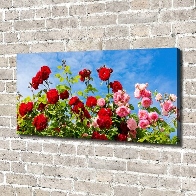 Canvas wall art Wild roses