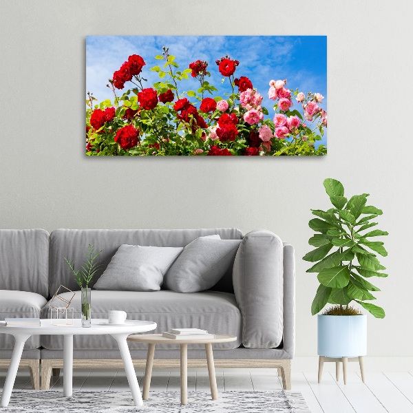 Canvas wall art Wild roses