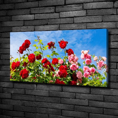 Canvas wall art Wild roses