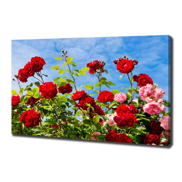 Canvas wall art Wild roses