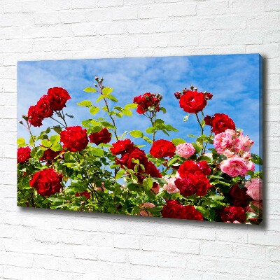 Canvas wall art Wild roses