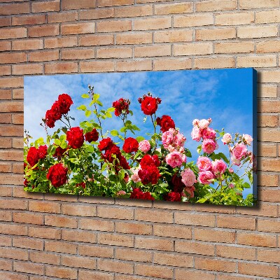 Canvas wall art Wild roses