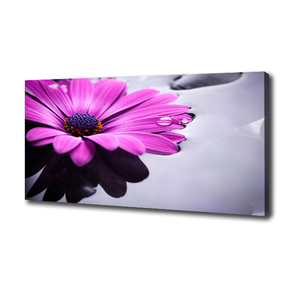 Canvas wall art Gerber