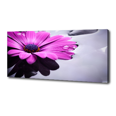 Canvas wall art Gerber