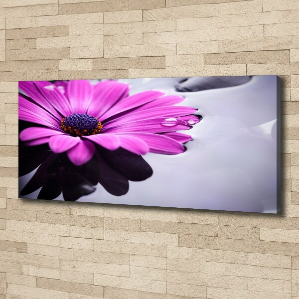 Canvas wall art Gerber