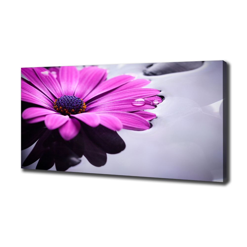 Canvas wall art Gerber