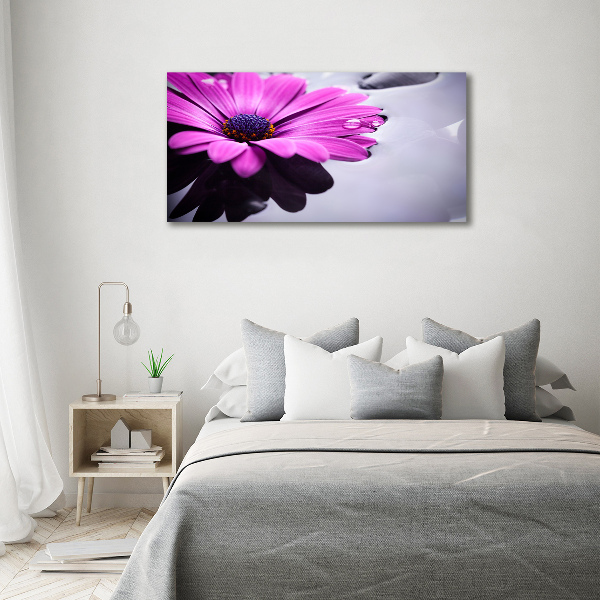 Canvas wall art Gerber