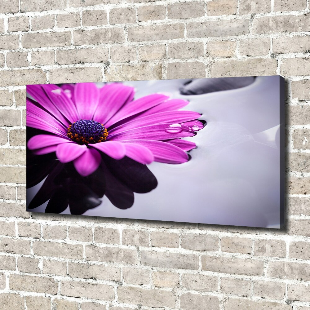 Canvas wall art Gerber