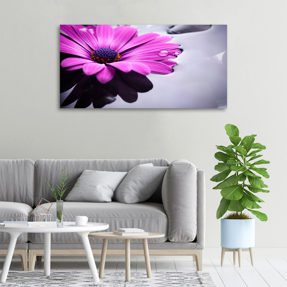 Canvas wall art Gerber