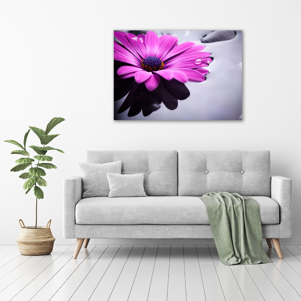 Canvas wall art Gerber