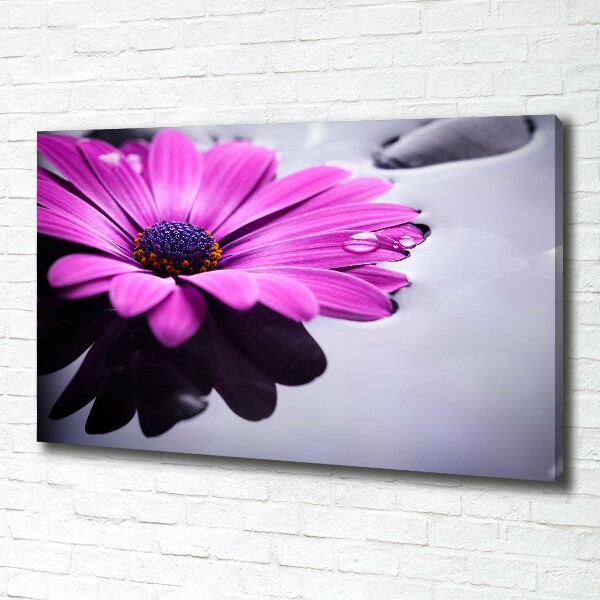 Canvas wall art Gerber