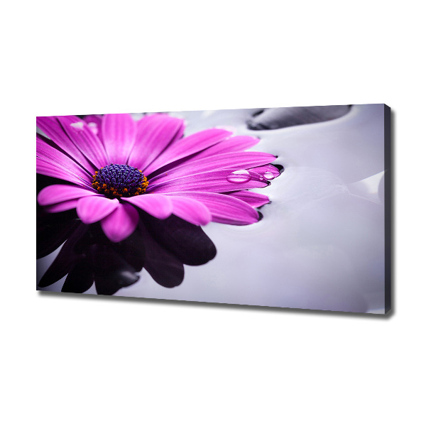 Canvas wall art Gerber