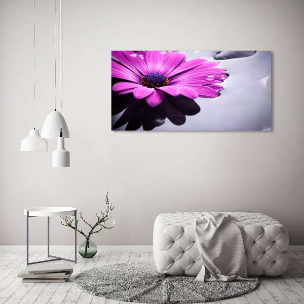 Canvas wall art Gerber