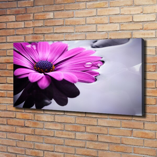 Canvas wall art Gerber