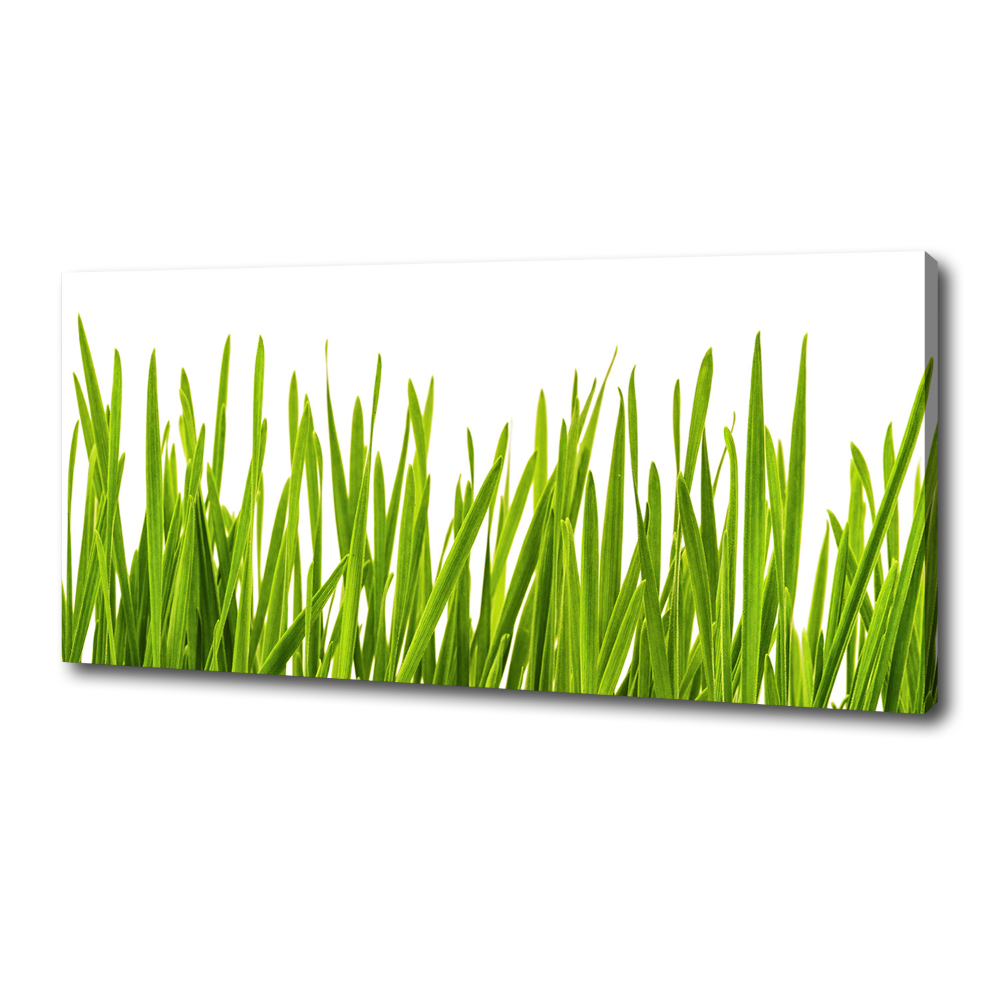 Canvas wall art Grass