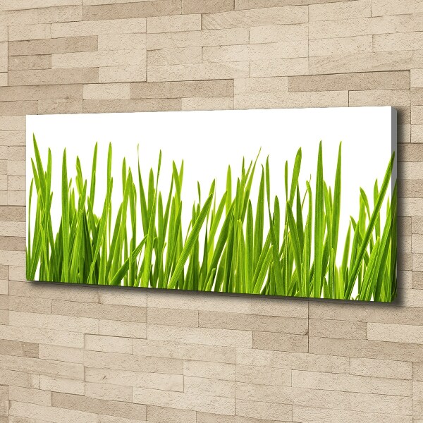 Canvas wall art Grass