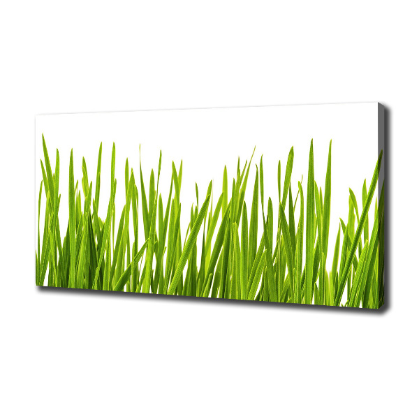 Canvas wall art Grass