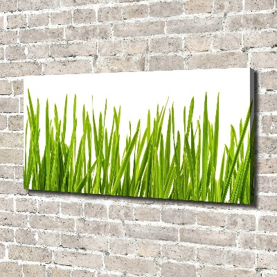 Canvas wall art Grass