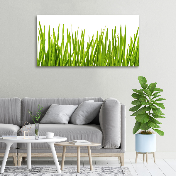 Canvas wall art Grass