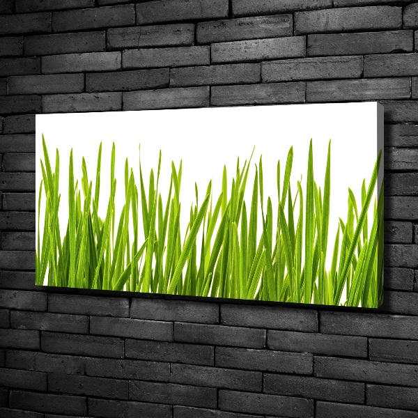 Canvas wall art Grass