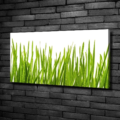 Canvas wall art Grass